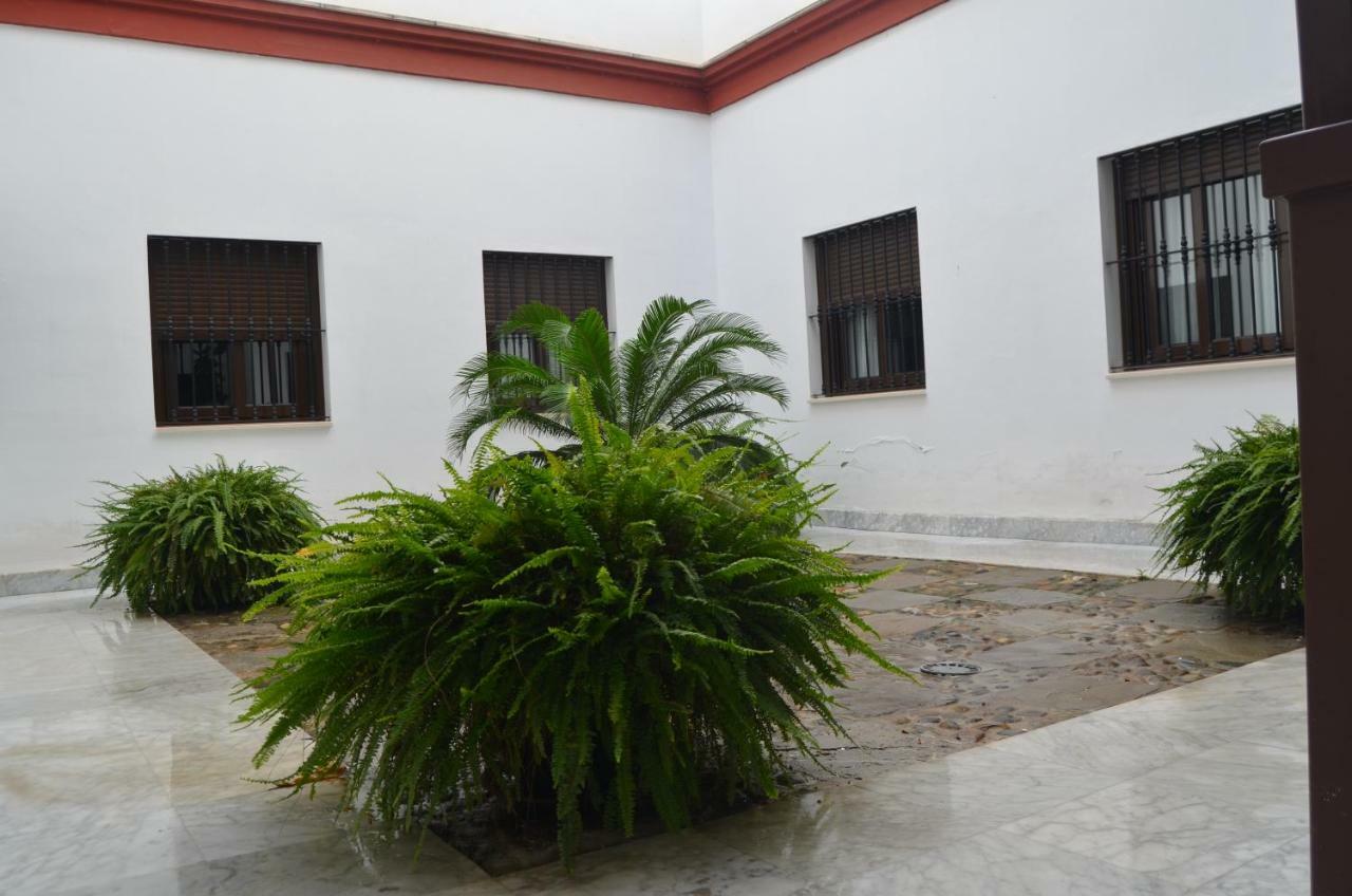 Apartment Teodosio